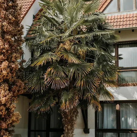 公寓 Atelier-boho-apartment In Der Residenz *