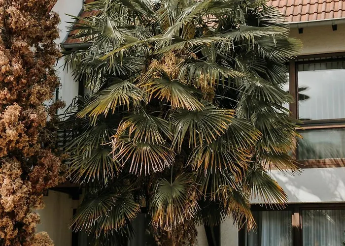 Apartament Atelier-boho-apartment In Der Residenz *